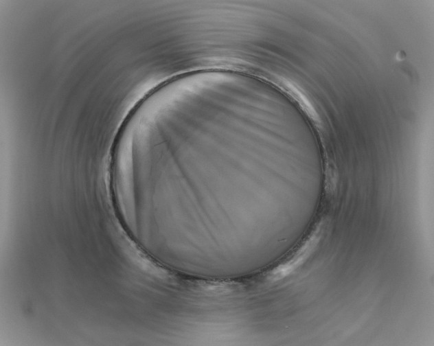 X0000110320899200906042041