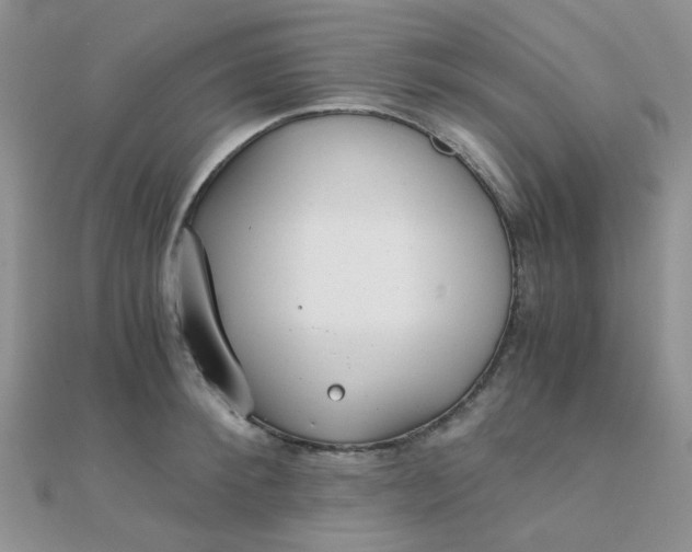 X0000110320900200906042041