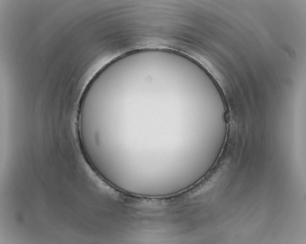 X0000110320901200906042041