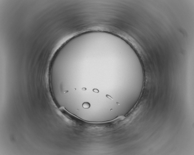 X0000110320902200906042041