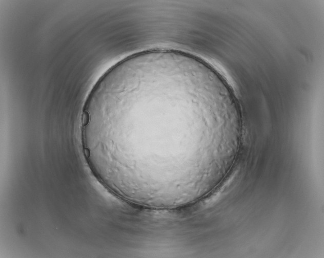 X0000110320903200906042041