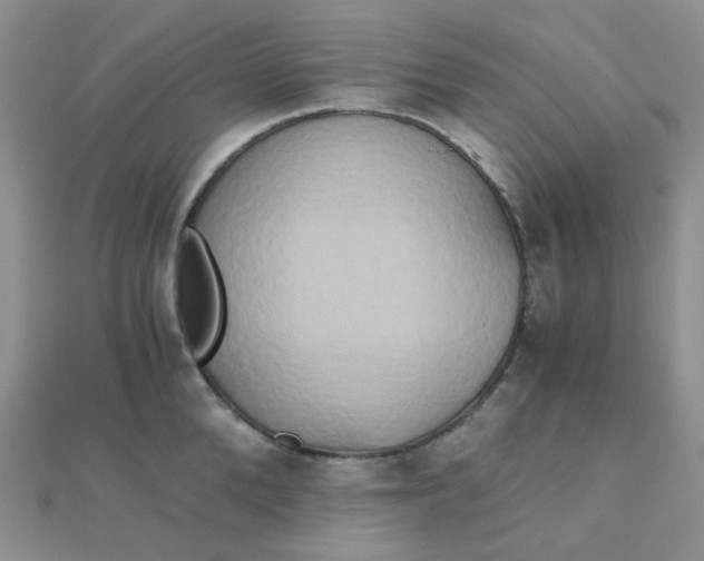 X0000110320904200906042041