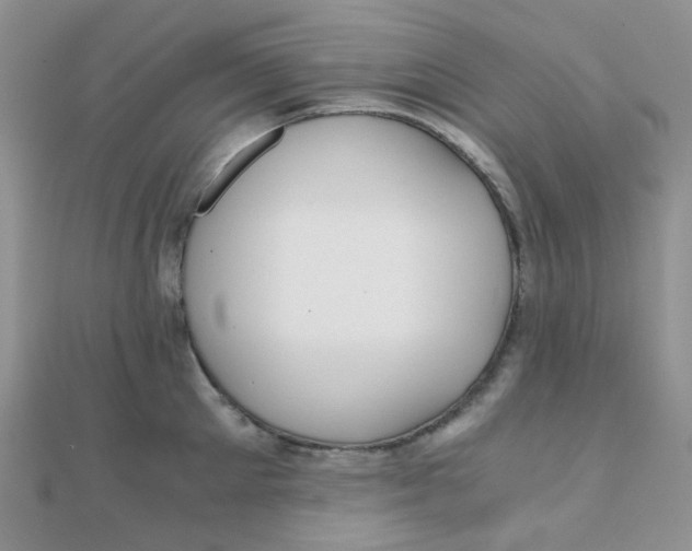 X0000110320905200906042041