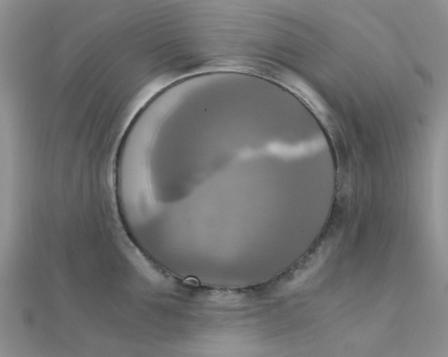 X0000110320907200906042041