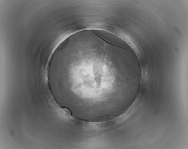 X0000110320908200906042041