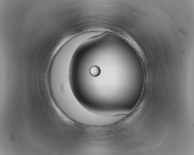 X0000110320909200906042041