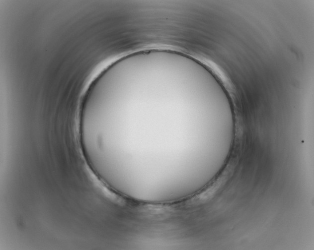 X0000110320910200906042041