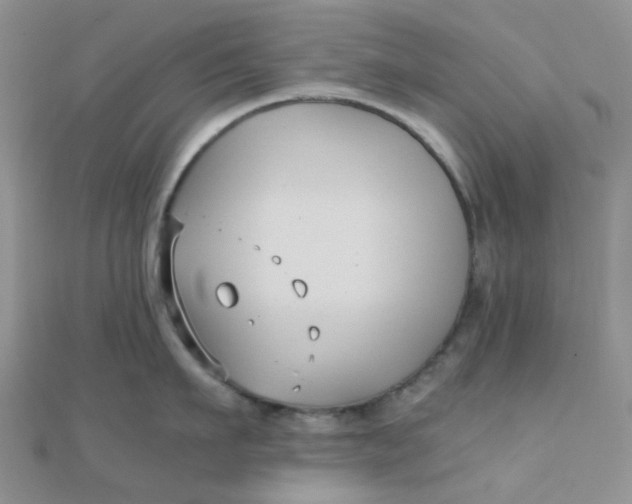 X0000110320911200906042041