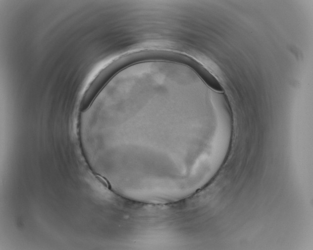 X0000110320912200906042041