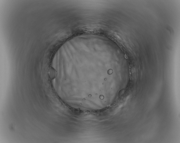 X0000110320913200906042040