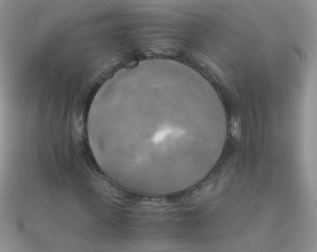 X0000110320915200906042040