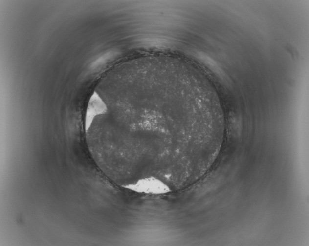 X0000110320918200906042040