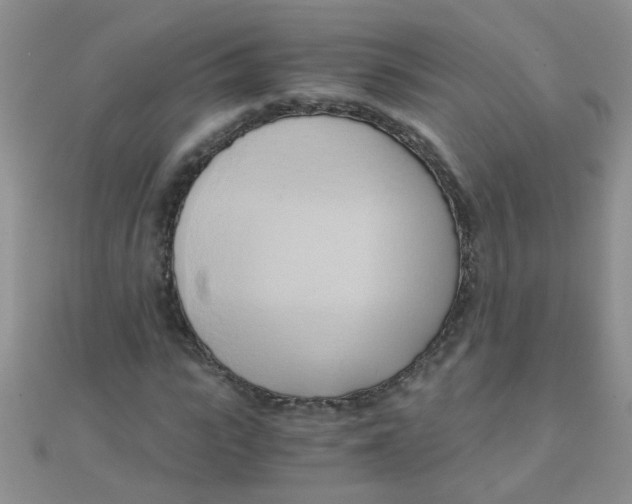 X0000110320919200906042040