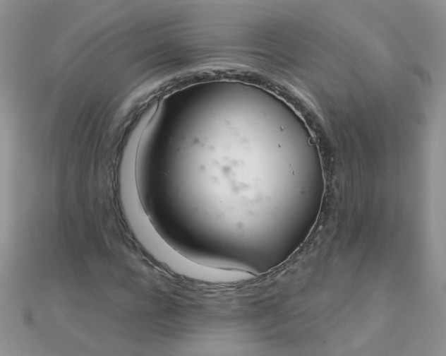 X0000110320920200906042040