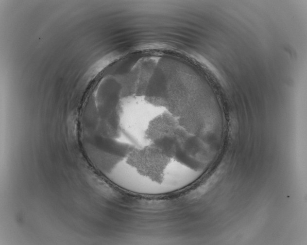 X0000110320921200906042040