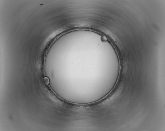 X0000110320922200906042040