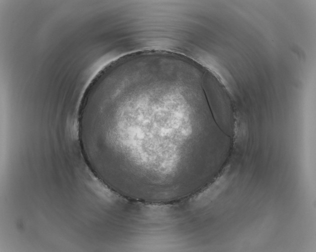 X0000110320924200906042040