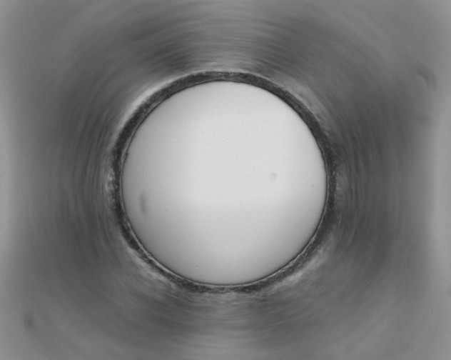 X0000110320926200906042040