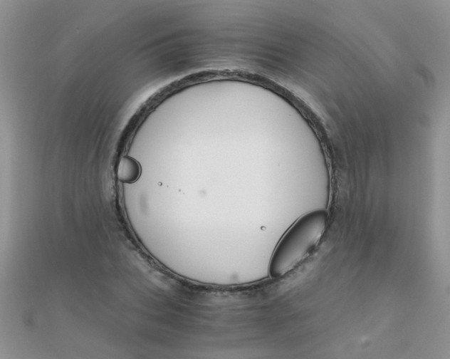 X0000110320927200906042040