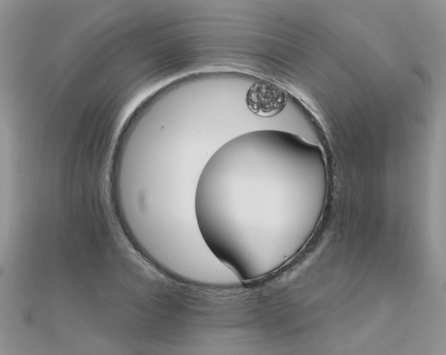 X0000110320928200906042040