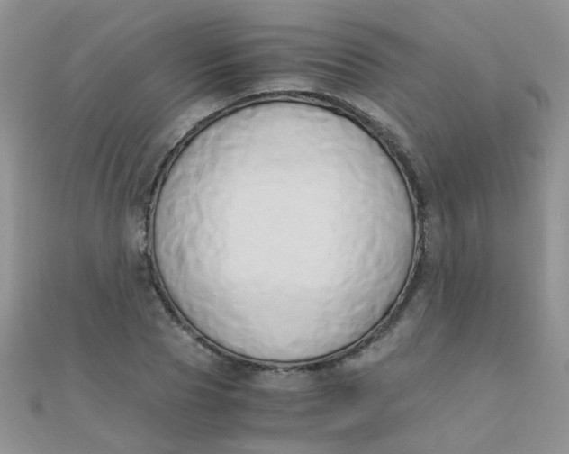 X0000110320929200906042040