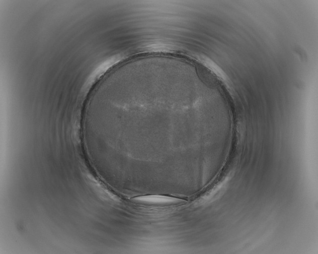 X0000110320930200906042040