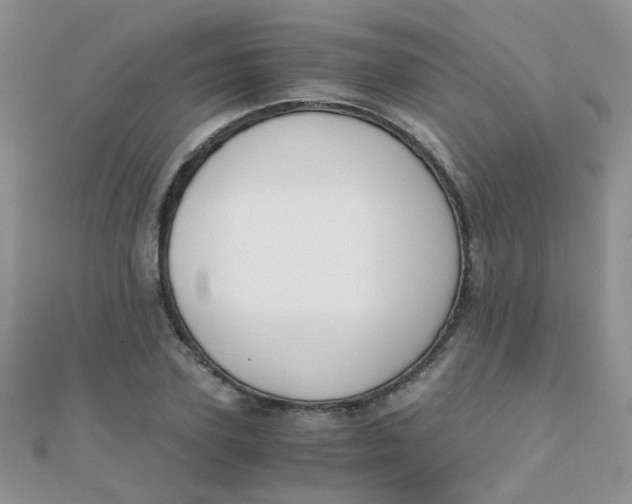 X0000110320931200906042040