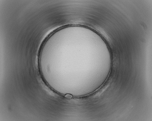 X0000110320932200906042040