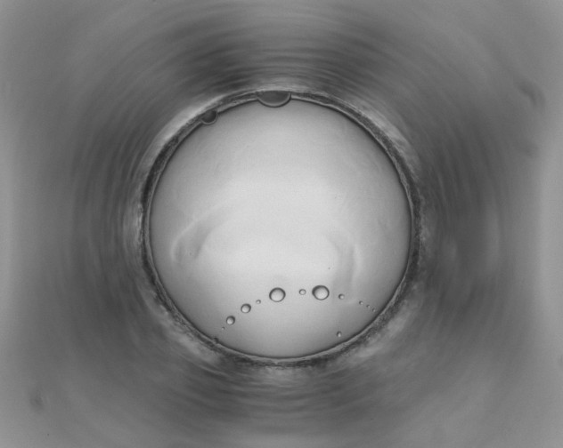 X0000110320933200906042040