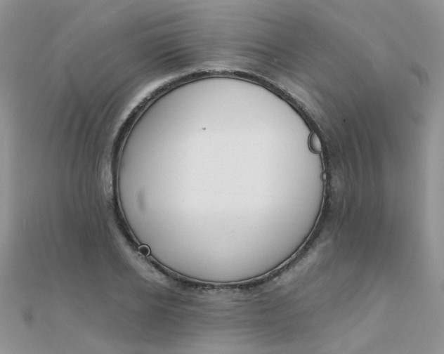 X0000110320934200906042040