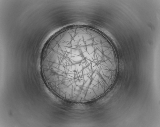 X0000110320935200906042040