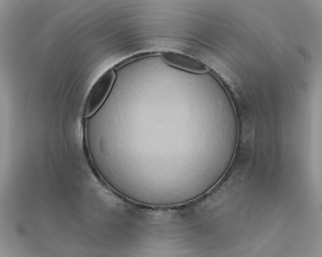 X0000110320936200906042040