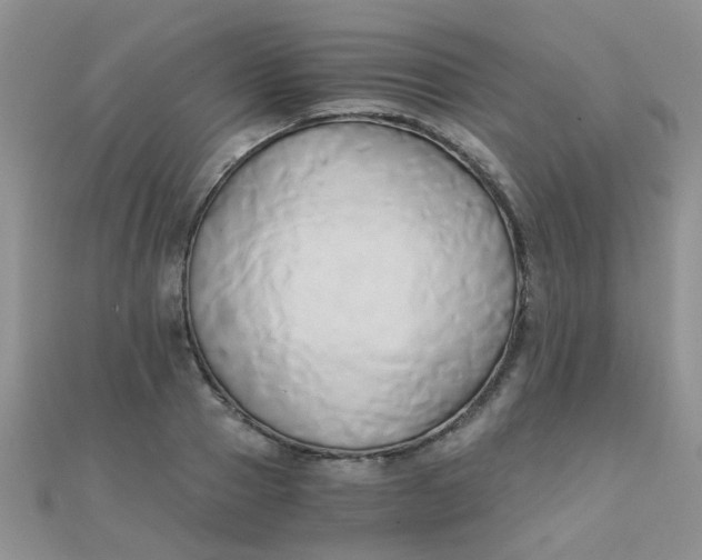 X0000110320937200906042040