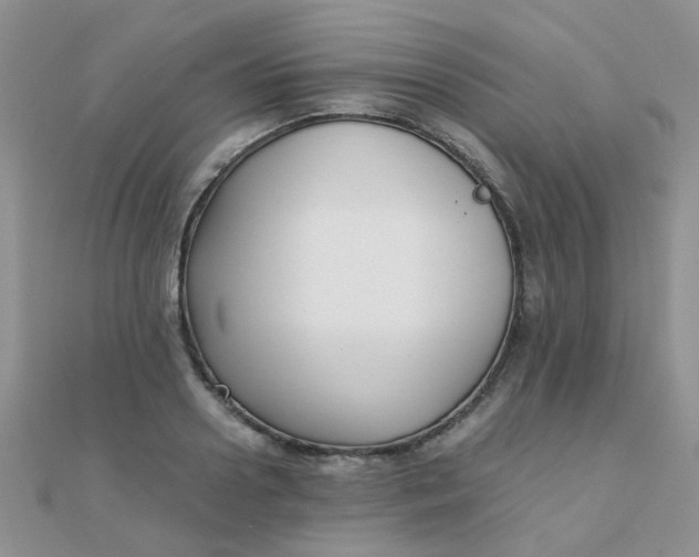 X0000110320938200906042040