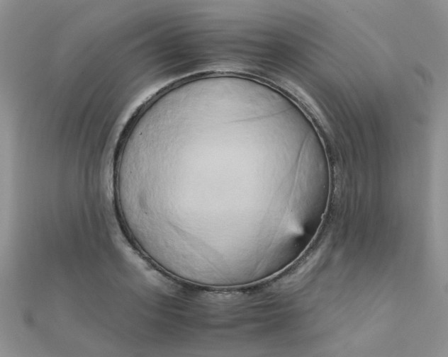 X0000110320939200906042040