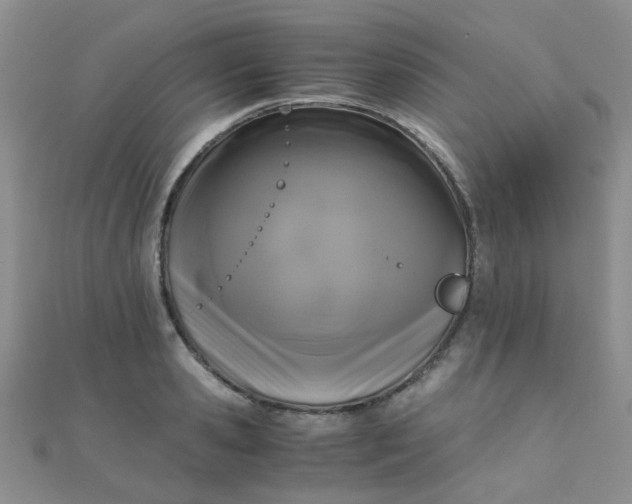 X0000110320941200906042041