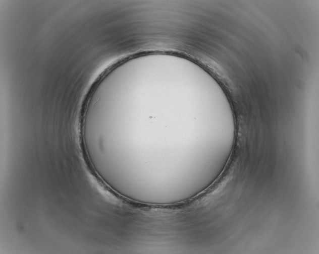 X0000110320942200906042041