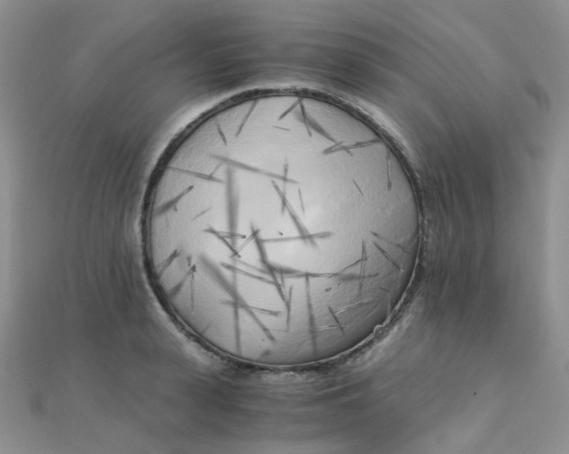 X0000110320943200906042041