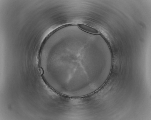 X0000110320944200906042041