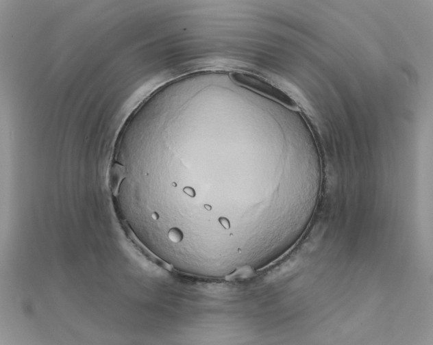 X0000110320946200906042041