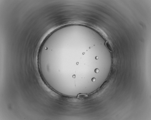 X0000110320947200906042041