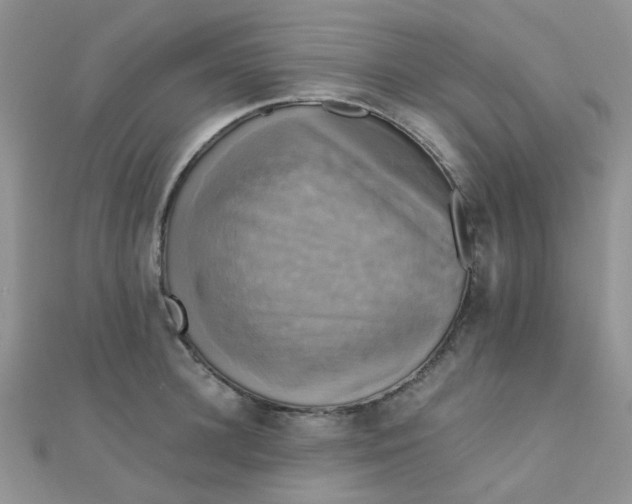 X0000110320948200906042041