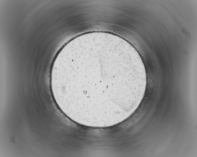 X0000110320950200906042041