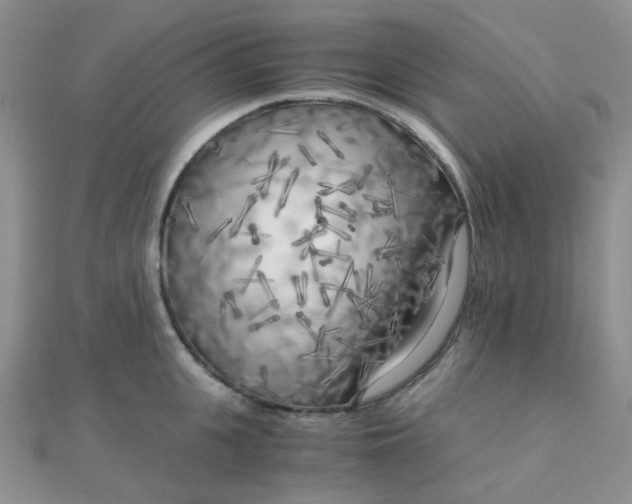 X0000110320951200906042041