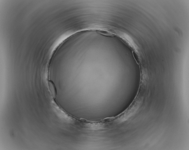 X0000110320952200906042041