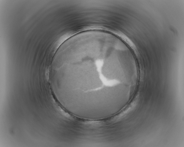 X0000110320953200906042041