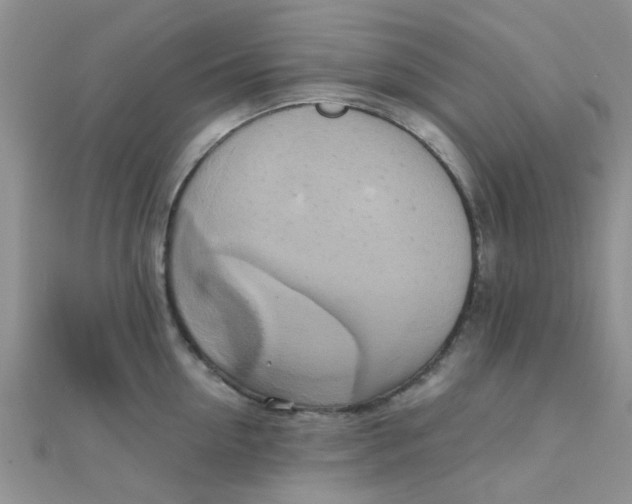 X0000110320954200906042041