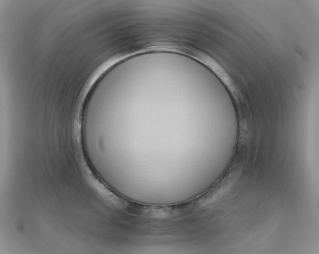 X0000110320955200906042041