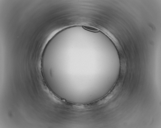 X0000110320956200906042041