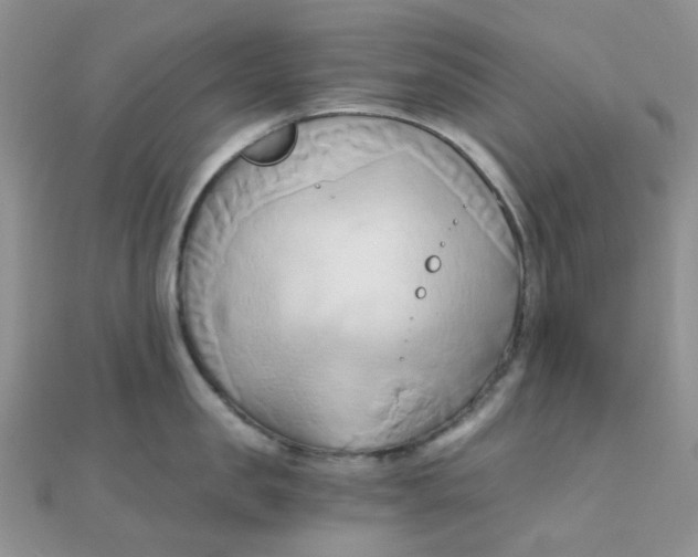 X0000110320957200906042041